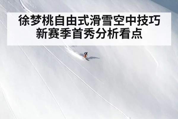 freestyle skiing aerial