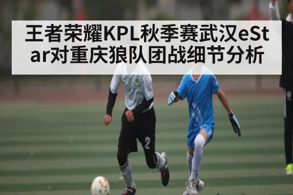 王者荣耀KPL秋季赛武汉eStar对重庆狼队团战细节分析